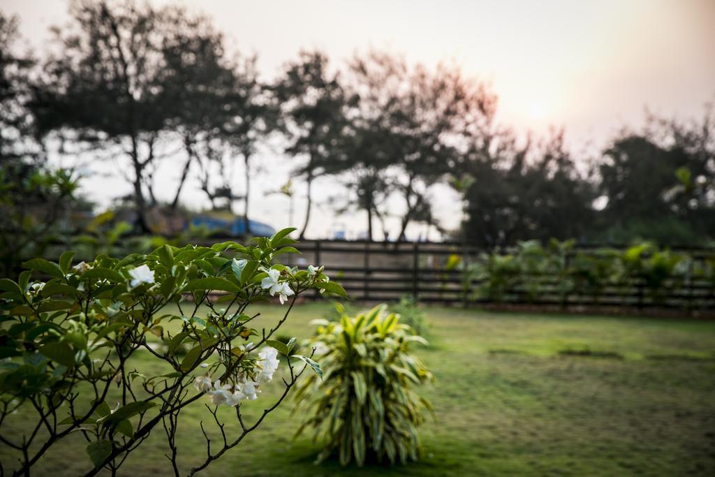 Casa Cubo By The Beach Bed & Breakfast Calangute Luaran gambar